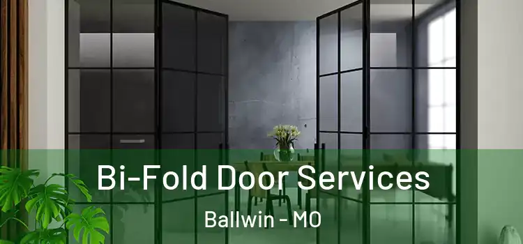 Bi-Fold Door Services Ballwin - MO