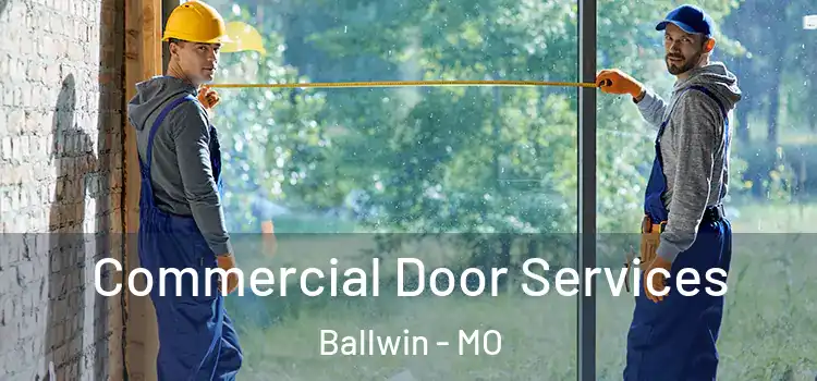 Commercial Door Services Ballwin - MO