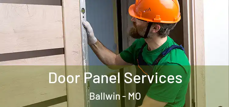 Door Panel Services Ballwin - MO
