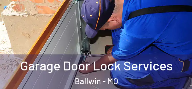 Garage Door Lock Services Ballwin - MO