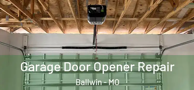  Garage Door Opener Repair Ballwin - MO