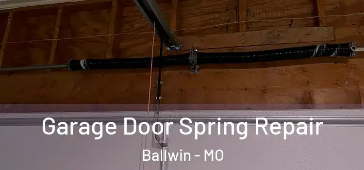  Garage Door Spring Repair Ballwin - MO