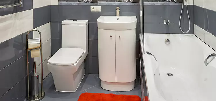 Hansgrohe Shaving Mirror Ballwin