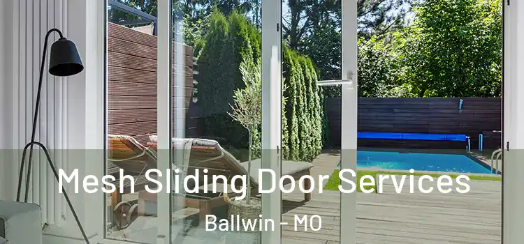 Mesh Sliding Door Services Ballwin - MO
