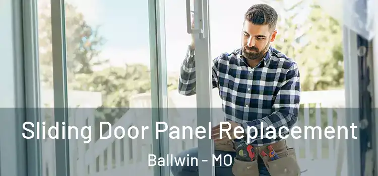  Sliding Door Panel Replacement Ballwin - MO