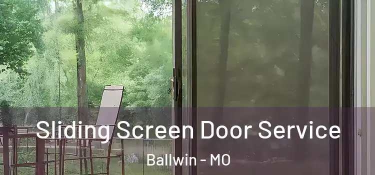  Sliding Screen Door Service Ballwin - MO