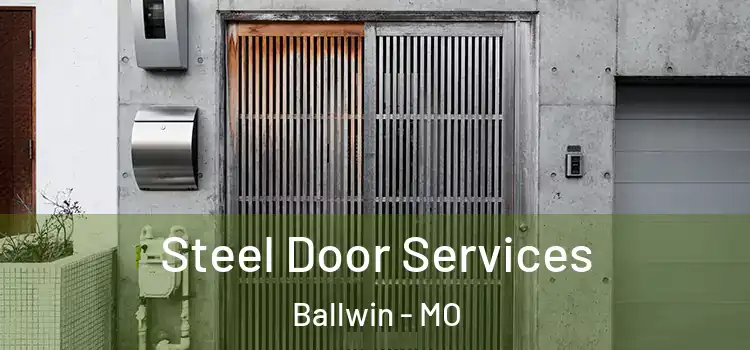  Steel Door Services Ballwin - MO