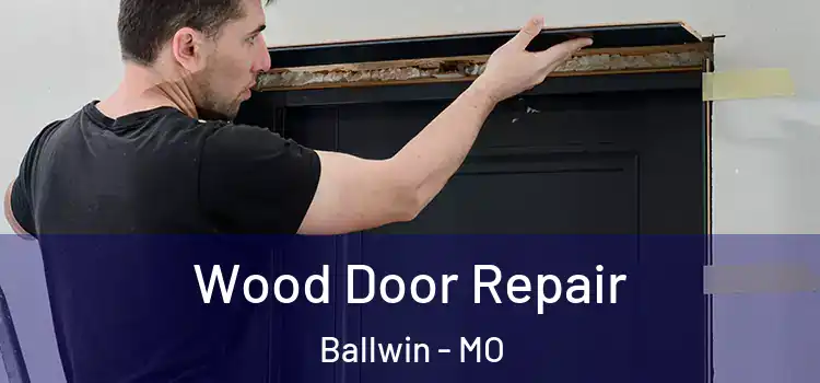  Wood Door Repair Ballwin - MO